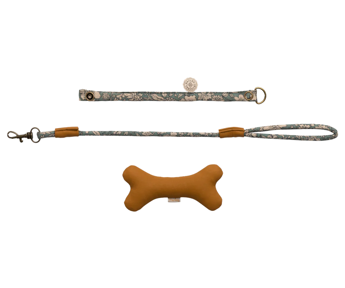 Maileg puppy accesoires blauw 3+