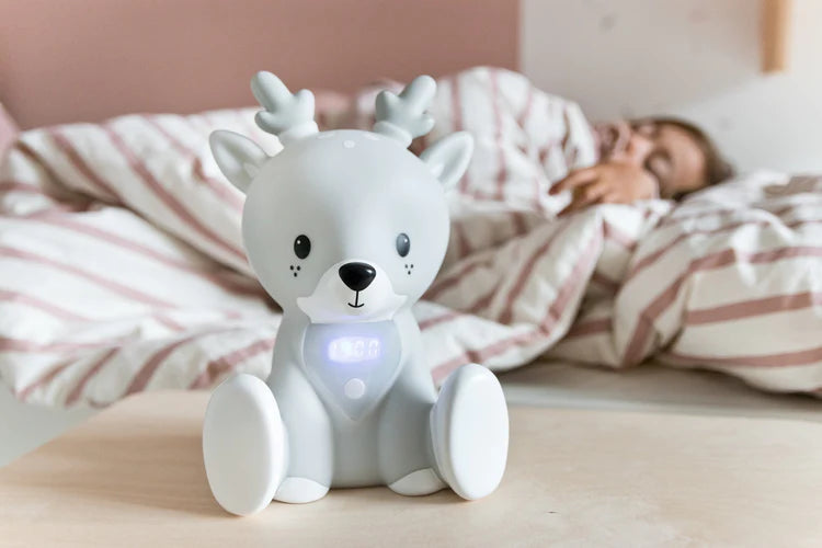 Flow Amsterdam slaaptrainer Fabian