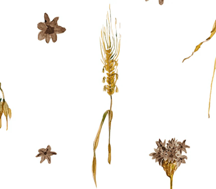 Saga Copenhagen romper body long sleeve plain wheat T62/68