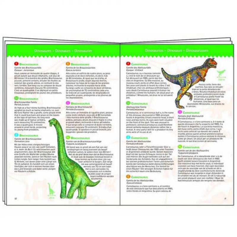 djeco puzzel dinosaurus +4