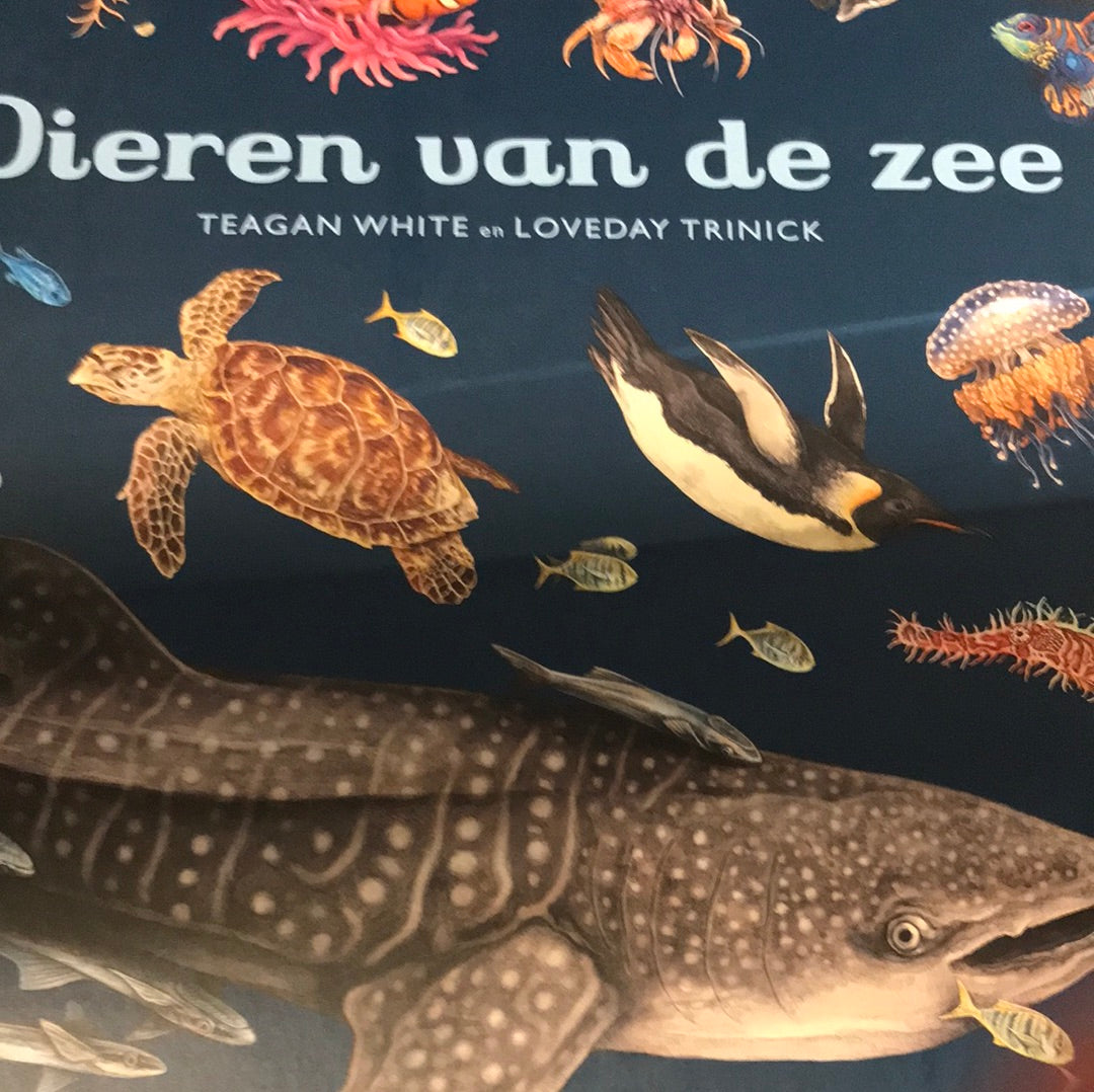 Boek dieren van de zee