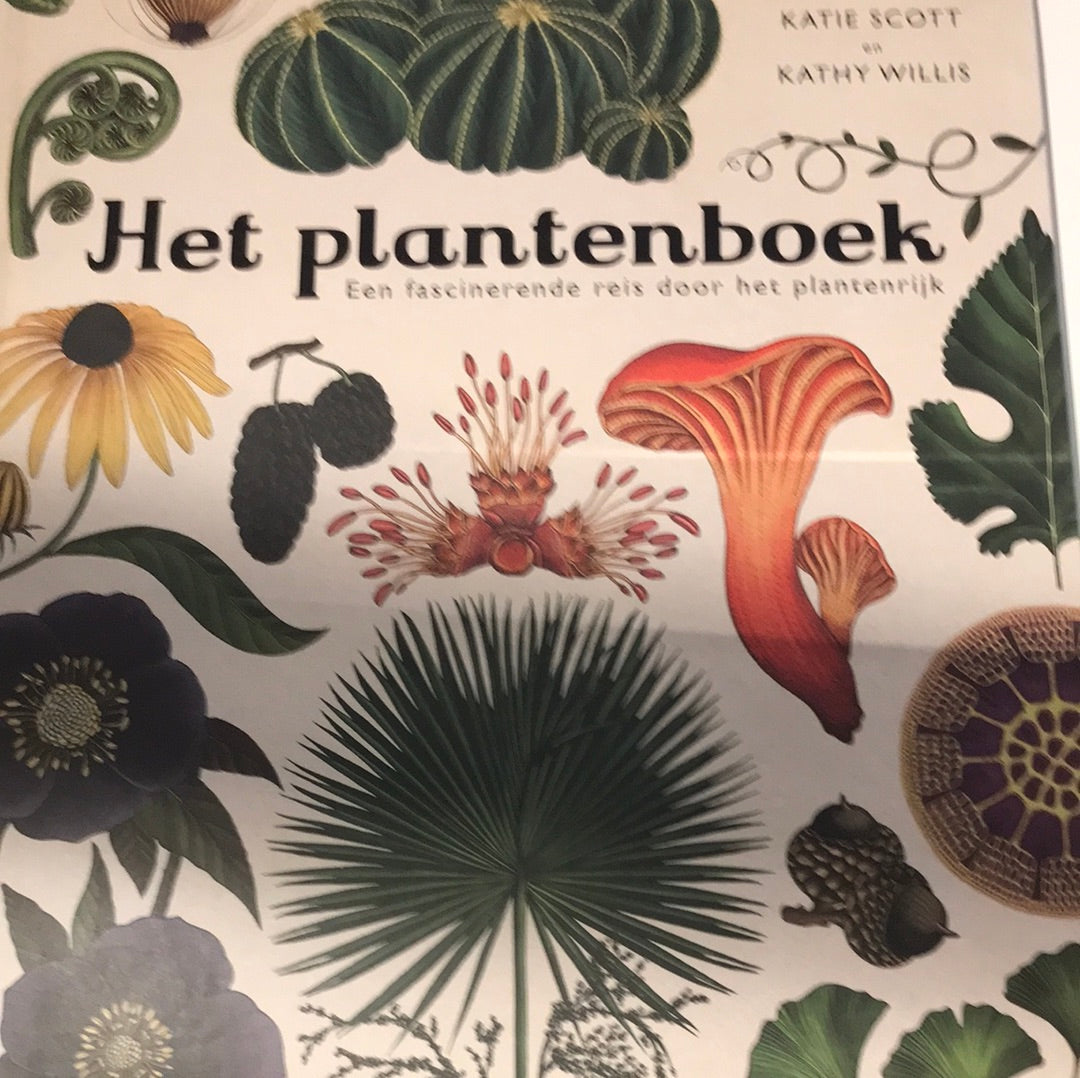 Het plantenboek 9+