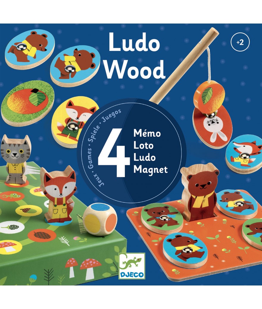 Djeco educatief speldoos 4 in een Ludo wood 2+