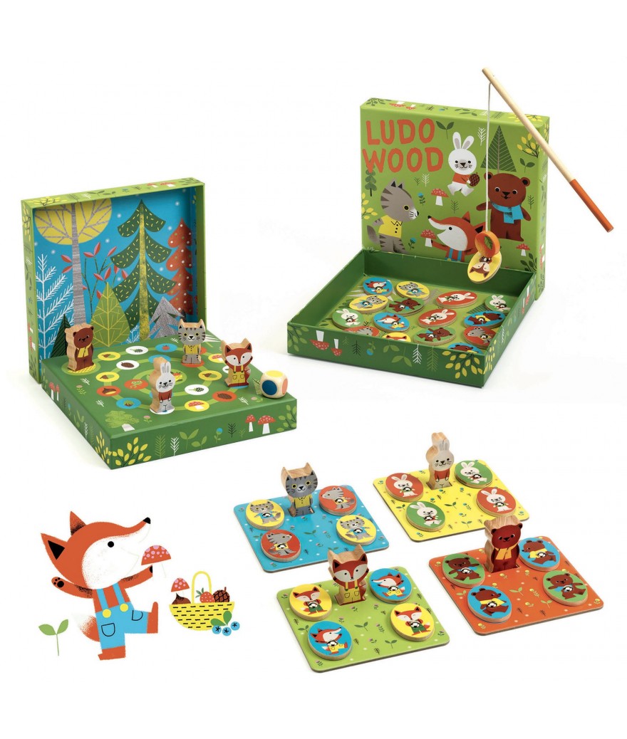 Djeco educatief speldoos 4 in een Ludo wood 2+