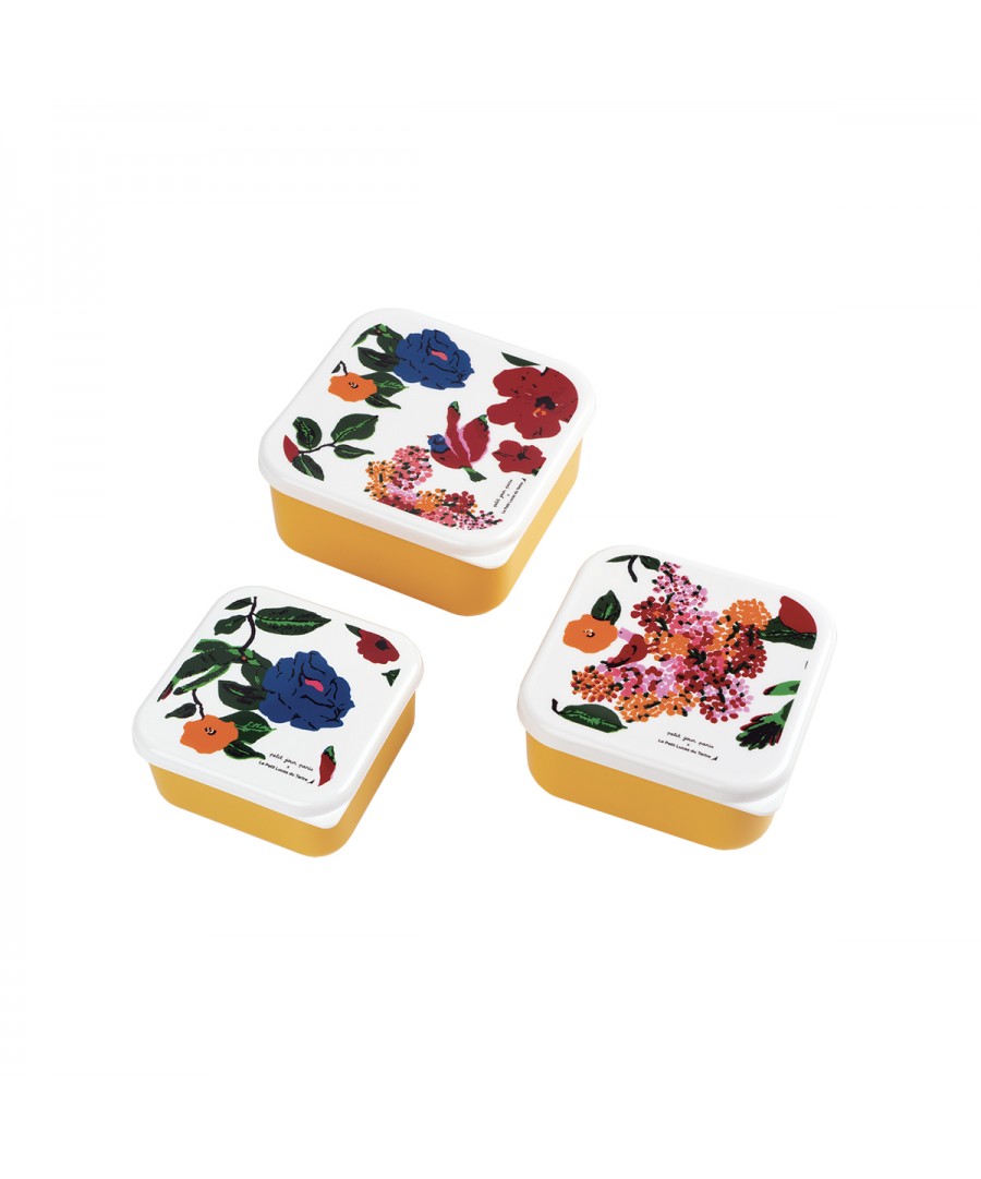 Petit jour paris box trio hibiscus