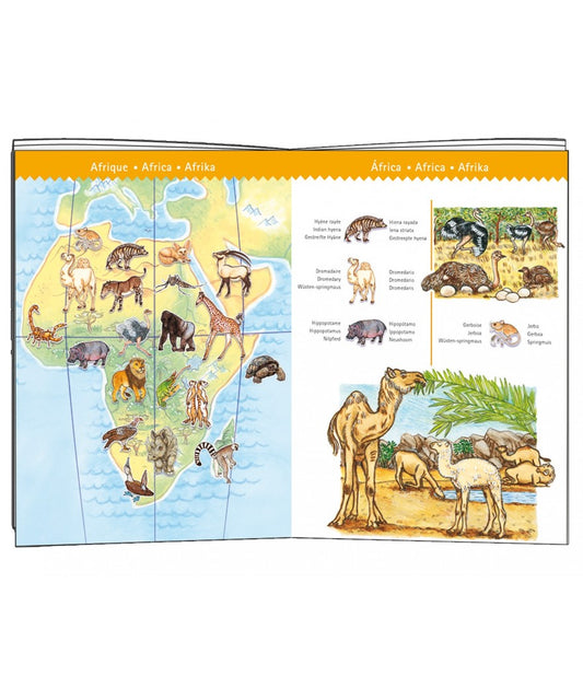 Djeco puzzel karton animaux du monde 100 pcs en boek 5+