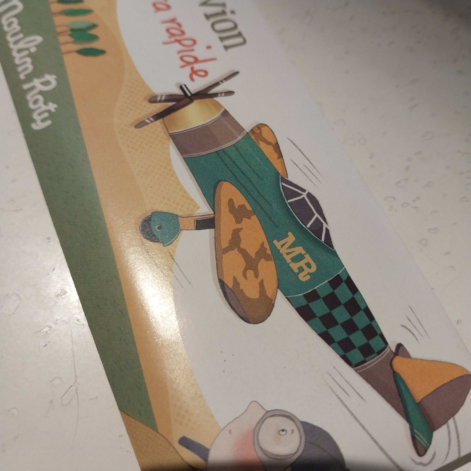 Moulin Roty zweefvliegtuigje Les petites merveilles 6+