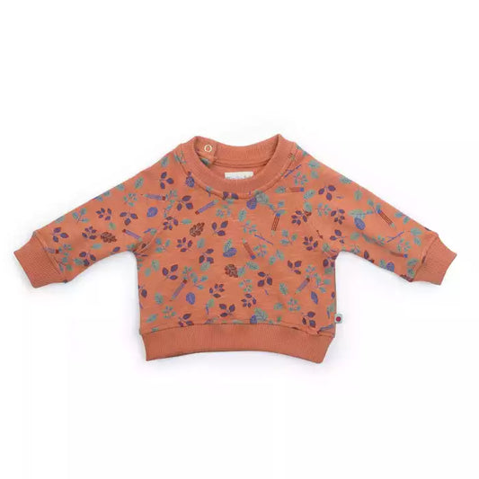 Moulinroty sweatshirt fred pomme des bois